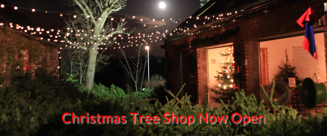Christmas Trees Shop - Dundonald and surrounding areas