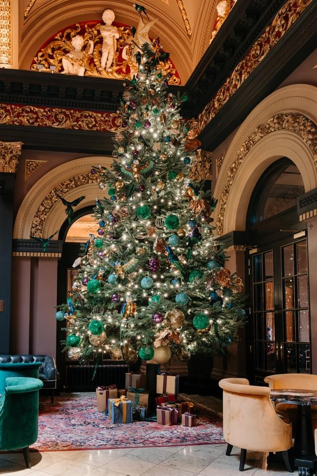 Large Xmas Trees 